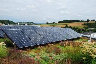 Green roof with photovoltaics